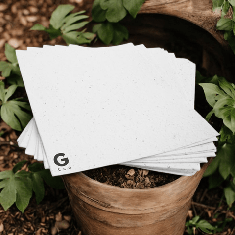 Papier à Planter Vierge