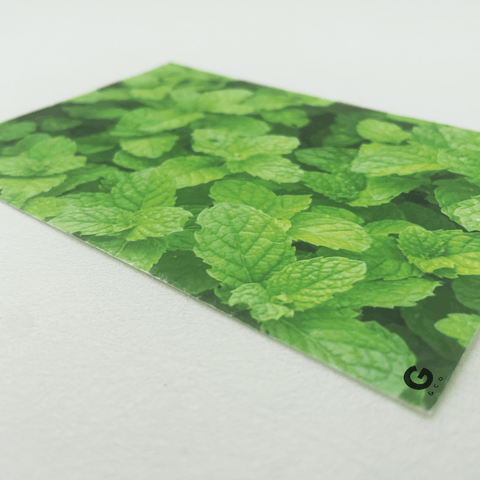 Plantable card